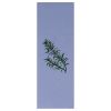 Essential Oil - Rosemary