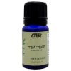 Essential Oil - Tea Tree